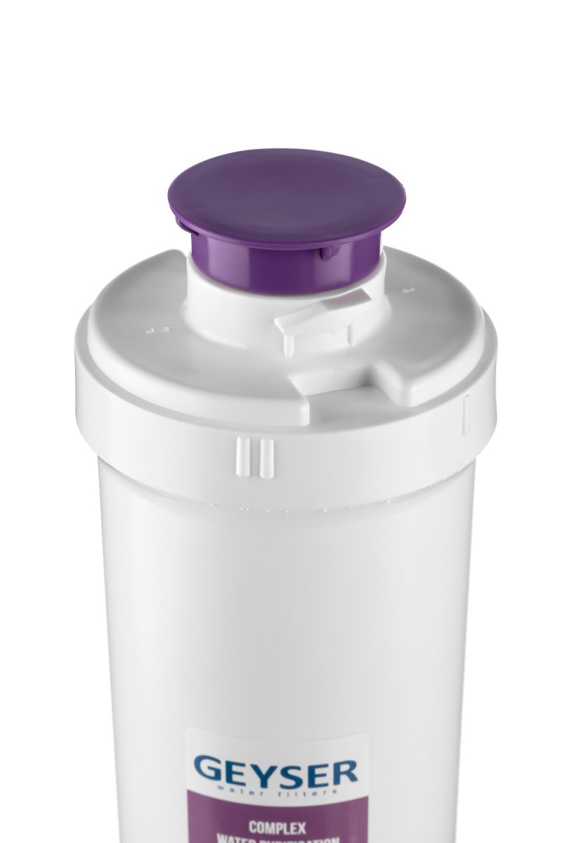 Сменный фильтрующий элемент Гейзер Карбон Ag Смарт (30639)